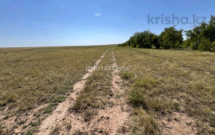 Участок · 16 соток, Сарыарка р-н за 3 млн ₸ в Астане — фото 2
