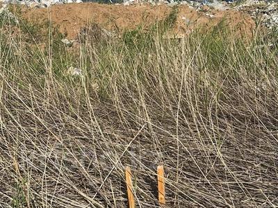 Участок · 28 соток, Казыбек би за 255 млн 〒 в Астане, Есильский р-н