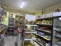 Магазины и бутики · 100 м² за 75 млн ₸ в Алматы, Ауэзовский р-н — фото 7