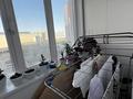 2-бөлмелі пәтер · 49 м² · 4/9 қабат, А91 17, бағасы: 28 млн ₸ в Астане, Сарайшык р-н — фото 12