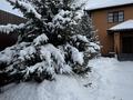 Отдельный дом · 4 комнаты · 300 м² · 8 сот., Садовая — Кольца Омеги за 195 млн ₸ в Уральске — фото 44