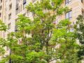 5-комнатная квартира · 150 м² · 13/21 этаж, Сейфуллина 574/1 к3 за 900 000 ₸ в Алматы, Бостандыкский р-н — фото 10