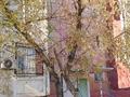 1-комнатная квартира · 40 м² · 1/6 этаж, Сатпаева 11 — Сатпаева - Пушкина за 140 000 ₸ в Жезказгане — фото 2