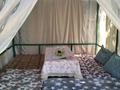 Дом · 4 комнаты · 145 м², Шымкентстрой 1 за 35 000 ₸ в Шубарсу