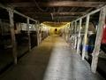 Сельское хозяйство · 12000 м², бағасы: 30 млн ₸ в Бектау — фото 11