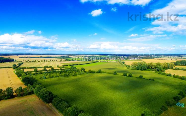 Жер телімі · 2 га, Қаратұрық, бағасы: 3.7 млн ₸ в Каратурык — фото 2
