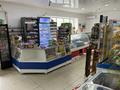 Магазины и бутики • 120 м² за 45 млн 〒 в Таразе — фото 6