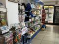 Магазины и бутики • 120 м² за 45 млн 〒 в Таразе — фото 11