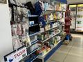 Магазины и бутики • 120 м² за 45 млн 〒 в Таразе — фото 13