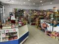 Магазины и бутики • 120 м² за 45 млн 〒 в Таразе — фото 18