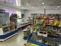 Магазины и бутики • 120 м² за 45 млн 〒 в Таразе — фото 19