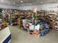 Магазины и бутики • 120 м² за 45 млн 〒 в Таразе — фото 23
