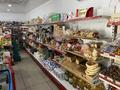 Магазины и бутики • 120 м² за 45 млн 〒 в Таразе — фото 24