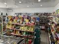 Магазины и бутики • 120 м² за 45 млн 〒 в Таразе — фото 25