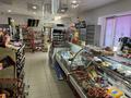 Магазины и бутики • 120 м² за 45 млн 〒 в Таразе — фото 26