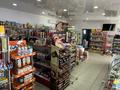 Магазины и бутики • 120 м² за 45 млн 〒 в Таразе — фото 27