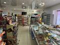 Магазины и бутики • 120 м² за 45 млн 〒 в Таразе — фото 29