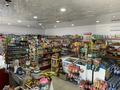 Магазины и бутики • 120 м² за 45 млн 〒 в Таразе — фото 30