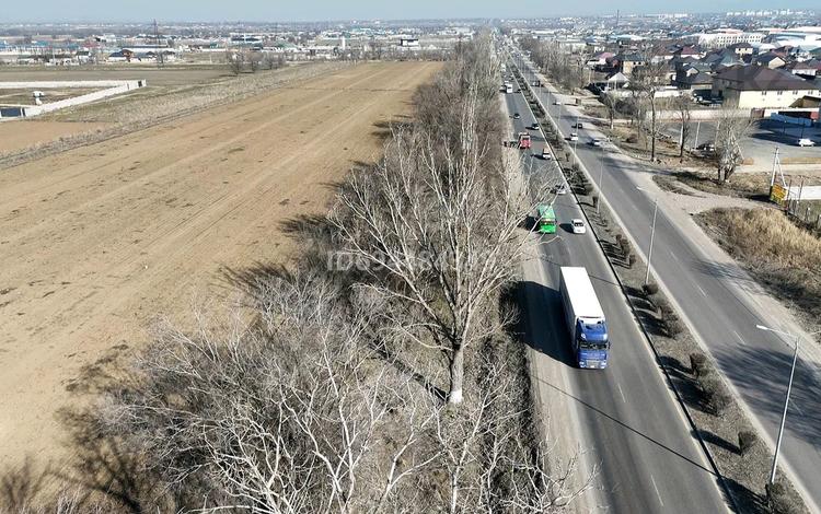 Участок · 100 соток, Ташкентская Трасса за 240 млн ₸ в Алматинской обл. — фото 13