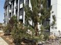 2-комнатная квартира · 63 м² · 2/4 этаж, мкр Нуршашкан (Колхозши), Санлак 2 за 300 000 ₸ в Алматы, Турксибский р-н — фото 11