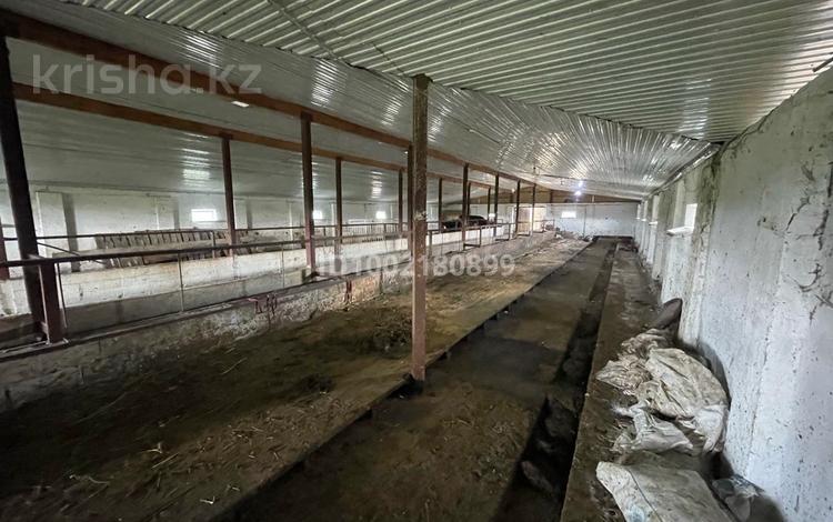 Участок · 2.5 га, 1 за 27 млн 〒 в  — фото 7