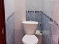 2-бөлмелі пәтер · 58 м² · 2/5 қабат, 16-шағынаудан 4 — Коктем рынок, бағасы: 160 000 ₸ в Шымкенте, Аль-Фарабийский р-н — фото 7