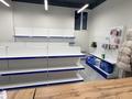 Еркін · 74.9 м², бағасы: 50 млн ₸ в Алматы, Бостандыкский р-н — фото 12