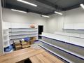 Еркін · 74.9 м², бағасы: 50 млн ₸ в Алматы, Бостандыкский р-н — фото 13