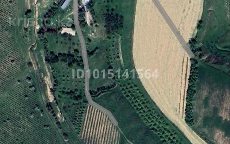 Жер телімі · 5.5 га, Қарасу, бағасы: 60 млн ₸ в Карасу — фото 2