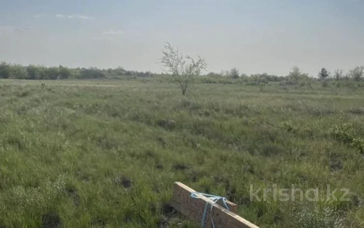 Участок · 20 соток, ДП СОТ Урожай за 4.4 млн ₸ в Костанае — фото 2