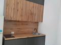 1-комнатная квартира · 30 м² · 1/10 этаж, Тянь-Шанская 9 — Около Парка Горького за 230 000 ₸ в Алматы, Медеуский р-н — фото 4