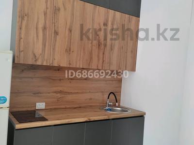 1-бөлмелі пәтер · 30 м² · 1/10 қабат, Тянь-Шанская 9 — Около Парка Горького, бағасы: 250 000 ₸ в Алматы, Медеуский р-н