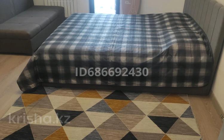 1-комнатная квартира · 30 м² · 1/10 этаж, Тянь-Шанская 9 — Около Парка Горького за 230 000 ₸ в Алматы, Медеуский р-н — фото 22