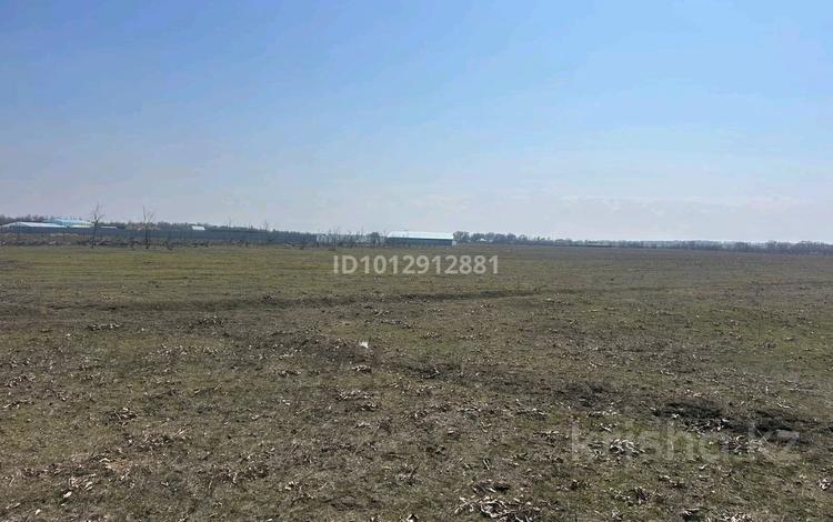 Жер телімі · 134 сотық, Тереңқара, бағасы: ~ 5 млн ₸ в Теренкаре — фото 2