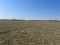 Жер телімі · 134 сотық, Тереңқара, бағасы: ~ 5 млн ₸ в Теренкаре — фото 3