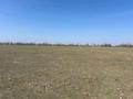 Жер телімі · 134 сотық, Тереңқара, бағасы: ~ 5 млн ₸ в Теренкаре — фото 4