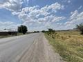 Участок · 6 га, жилой массив Бадам-2 за 180 млн ₸ в Шымкенте, Енбекшинский р-н — фото 2
