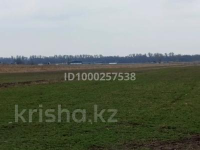 Жер телімі · 3 га, Кайназар (Енбекшиказахский район), бағасы: 30 млн ₸