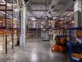 Свободное назначение, склады · 2800 м² за 8 млн ₸ в Аскара Токпанова (Казцик) — фото 19