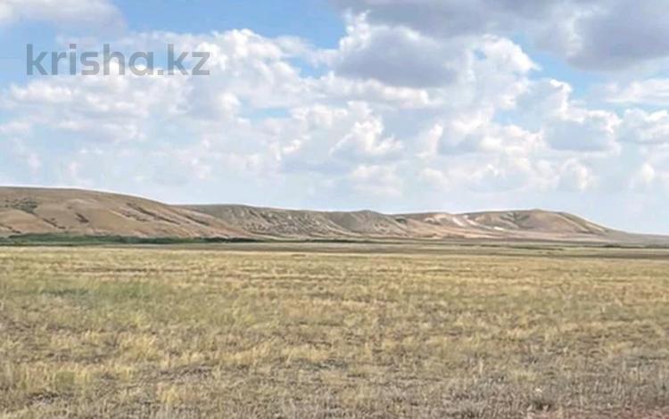 Участок · 200000 га, Баршино за 200 млн ₸ в Карагандинской обл. — фото 3