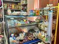 Дача · 6 комнат · 60 м² · 6 сот., Ынтымак 718 за 15 млн ₸ в Баскудуке — фото 12