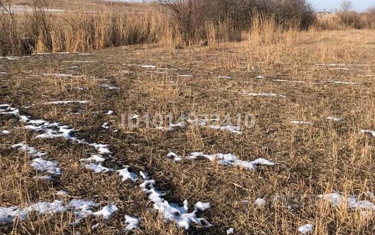 Жер телімі · 2.3 га, Қасымбек, бағасы: 11.5 млн ₸ в  — фото 2