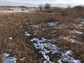Жер телімі · 2.3 га, Қасымбек, бағасы: 11.5 млн ₸ в  — фото 2