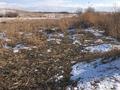 Жер телімі · 2.3 га, Қасымбек, бағасы: 11.5 млн ₸ в  — фото 4