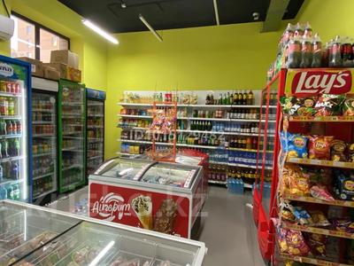 Бизнес · 120 м² за 20 млн ₸ в Астане, Нура р-н