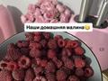 Участок · 6 соток, Самоцветы за 2.5 млн ₸ в Усть-Каменогорске, Ахмирово — фото 18
