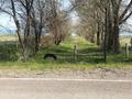 Монша, қонақ үй және демалыс орындары · 450 м², бағасы: 70 млн ₸ в Конаеве — фото 25