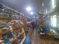 Магазины и бутики • 180 м² за 40 млн 〒 в Таразе — фото 11