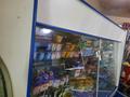 Магазины и бутики • 180 м² за 40 млн 〒 в Таразе — фото 13