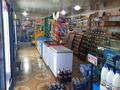 Магазины и бутики • 180 м² за 40 млн 〒 в Таразе — фото 14